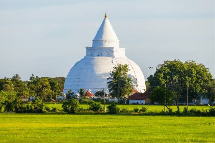 Taxi to Tissamaharama