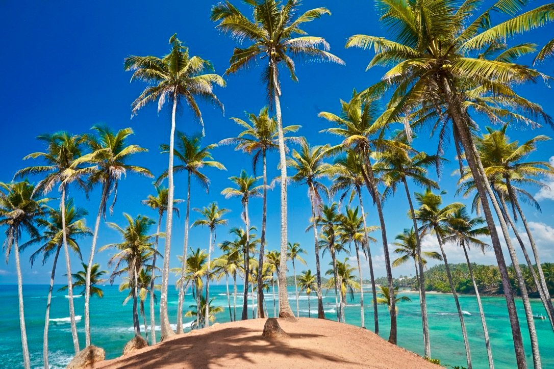 Taxi to Mirissa